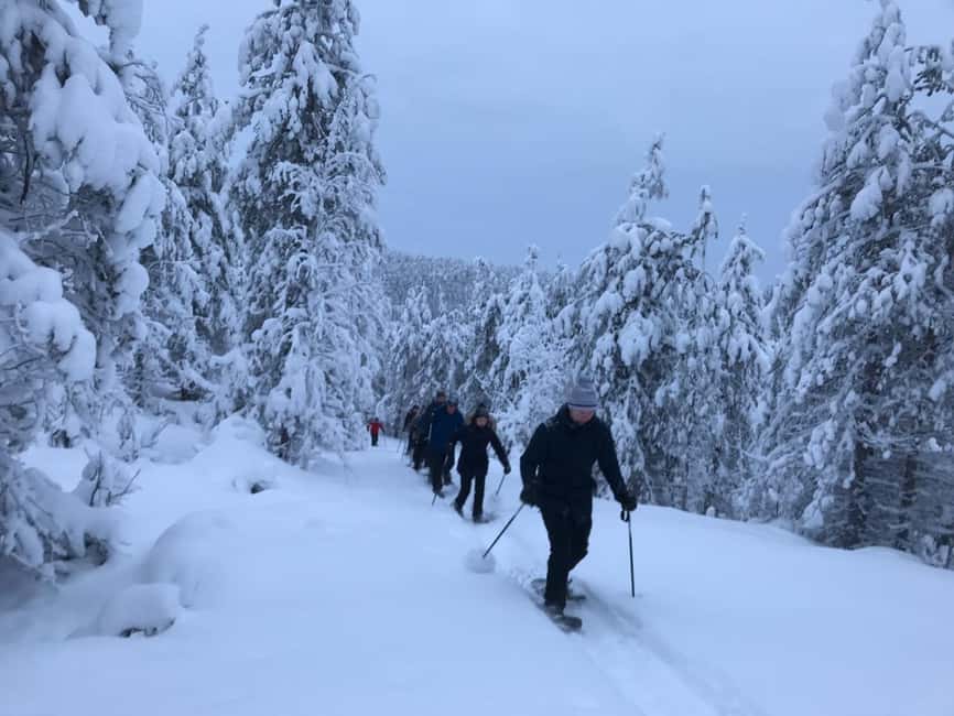Ruka: Pyhävaara Snowshoeing Tour - Light Changes by Month, From Magical Dusk to Long Daylight