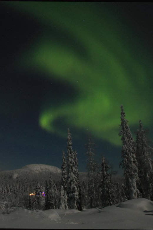 Ruka: Searching for the northern lights with snowshoes - Who this tour suits best in Ruka, and who should skip it
