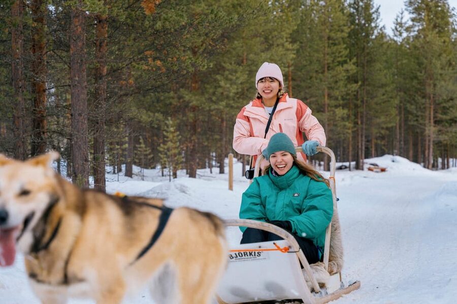 Saariselkä: 10KM Husky Safari with kennel visit - Key highlights worth planning for