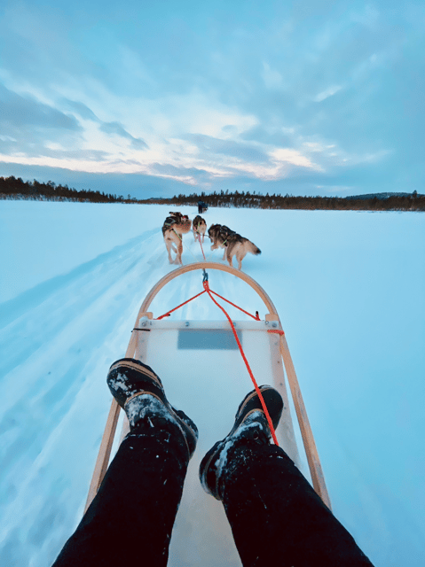 Saariselkä: 10KM Husky Safari with kennel visit - The 10 km Sled Ride: What the Driver Seat Feels Like