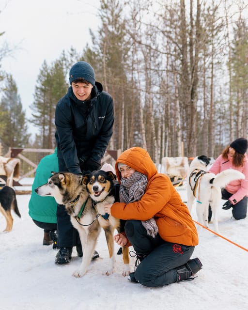 Saariselkä: 10KM Husky Safari with kennel visit - The Kota Break: Hot Drink, Quiet Time, and Dog Stories