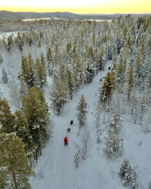 Saariselkä: 10KM Husky Safari with kennel visit - Safety Briefing First, Then Real Mushing Control