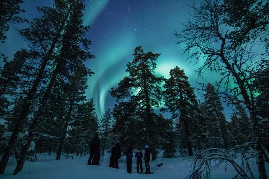 Saariselkä: Aurora Hunting & Reindeer Wilderness Experience - Warming up in the Aurora Hut, open fire, sausages, and berry juice