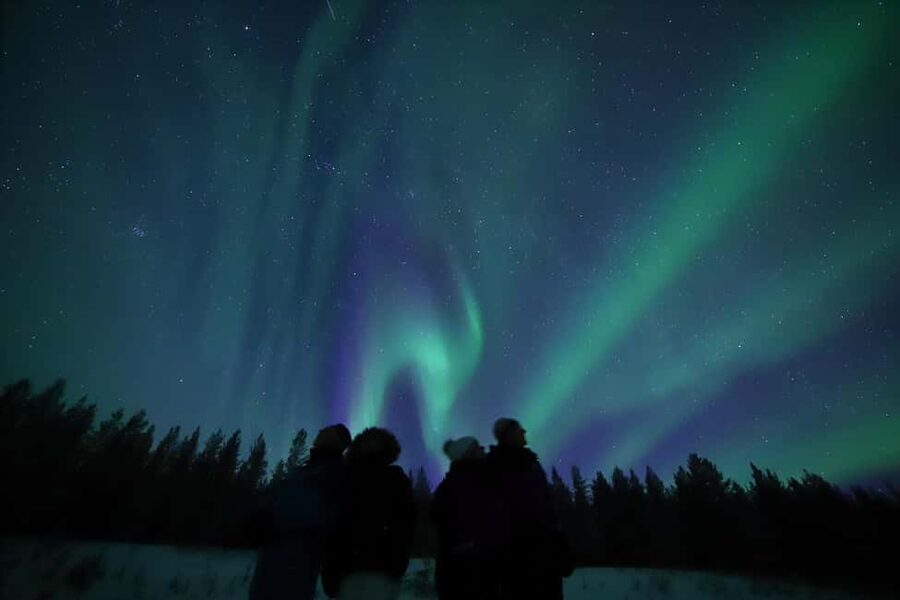 Saariselkä: Aurora Hunting & Reindeer Wilderness Experience - The traditional reindeer farm stop
