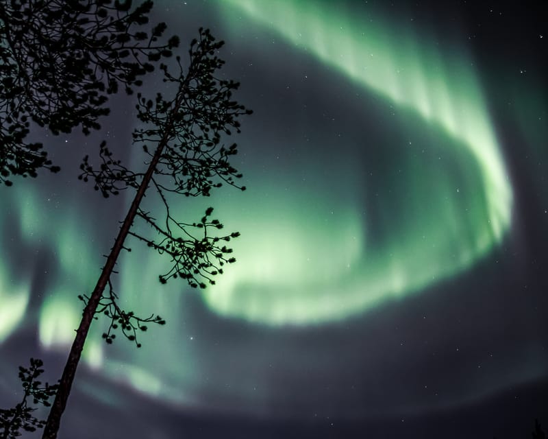 Saariselkä: Aurora Photo Tour by Car with Transfer & Drinks - Who this tour suits best in Lapland