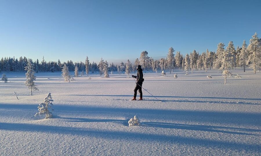 Saariselkä: Back-Country Skiing Guided Tour - Key highlights worth planning for