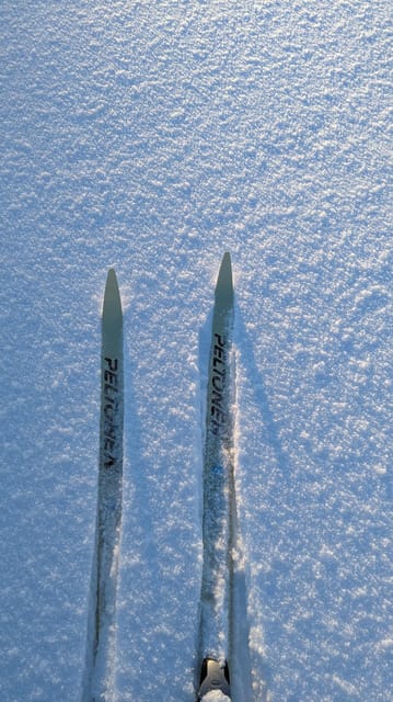 Saariselkä: Back-Country Skiing Guided Tour - First taste of Saariselkä: back-country skiing with real guidance