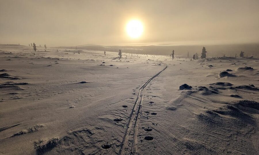 Saariselkä: Back-Country Skiing Guided Tour - The first tracks: instruction that keeps you moving