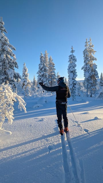 Saariselkä: Back-Country Skiing Guided Tour - Price and value: what your $94 actually buys you