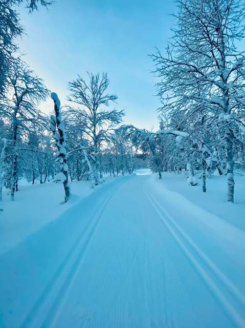 Saariselkä: Cross-Country Skiing for beginners - Minivan pickup and the practical logistics you’ll appreciate