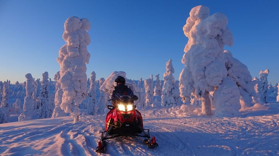 Saariselkä: Evening Snowmobile Tour with Fire & picnic - The ride itself: guided safari through forest, hills, and frozen ground