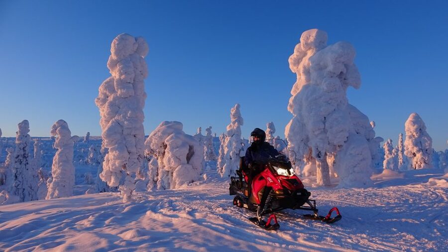 Saariselkä: Evening Snowmobile Tour with Fire & picnic - Northern lights: how to make your aurora watch actually work