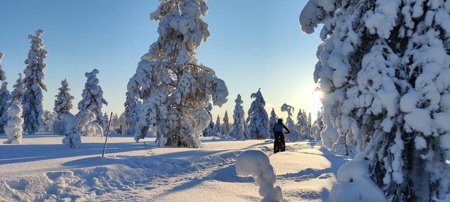 Saariselkä: Guided Fatbike Tour - The instructor’s role, from pace to bike settings