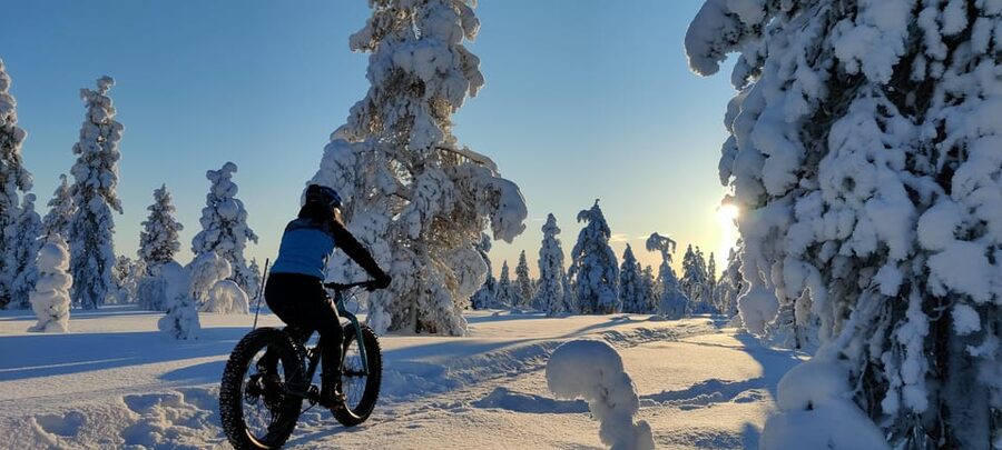 Saariselkä: Guided Fatbike Tour - Choosing between forest trails and fell terrain