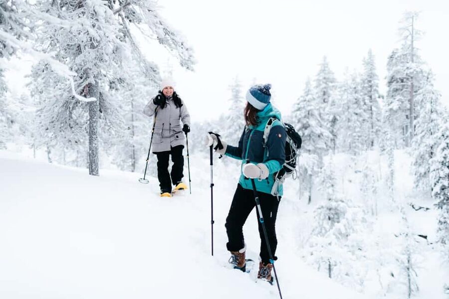 Saariselkä: Guided Forest Snowshoe Walk - Meeting Outside Restaurant Kuksa and Getting Set Up Quickly