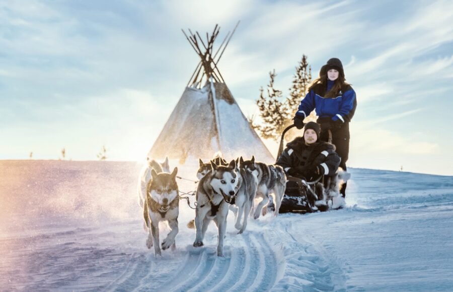 Saariselkä: Husky Safari with Aurora Borealis Hunt - Key things that make this husky aurora safari work