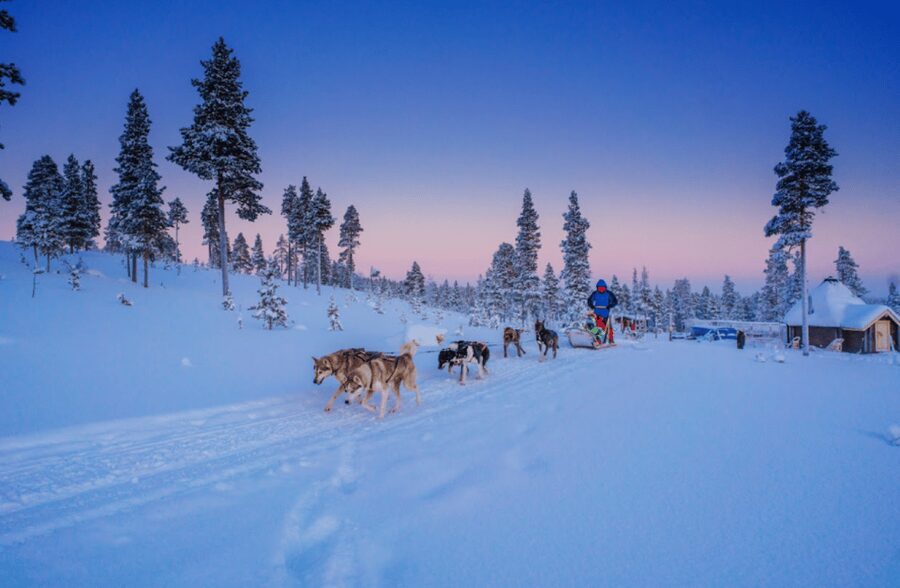 Saariselkä: Husky Safari with Aurora Borealis Hunt - Thermal overalls, boots, gloves, and what you still need to bring