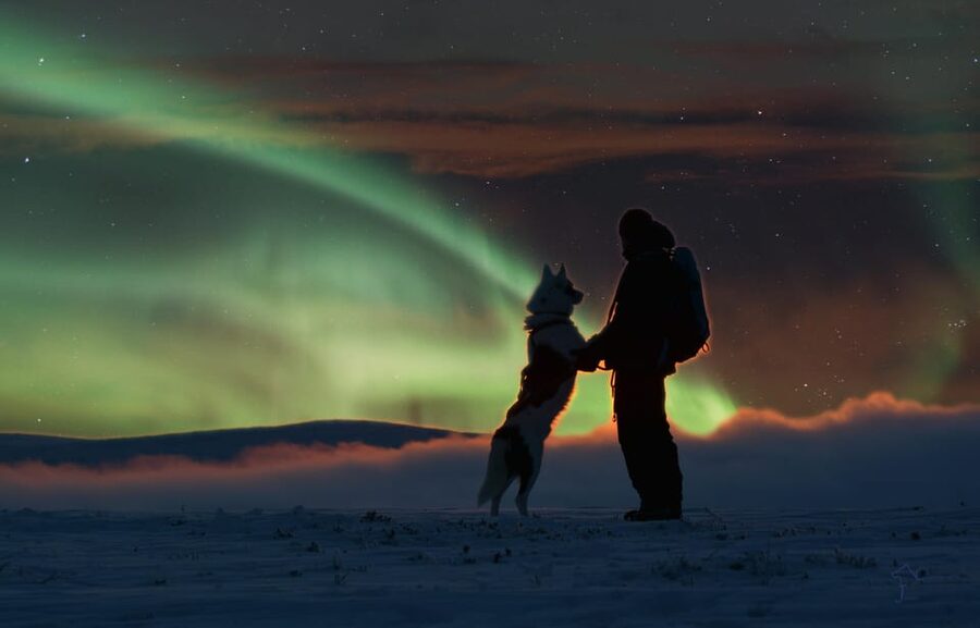 Saariselkä: Husky Safari with Aurora Borealis Hunt - From Saariselkä pickup to the Star Arctic start point