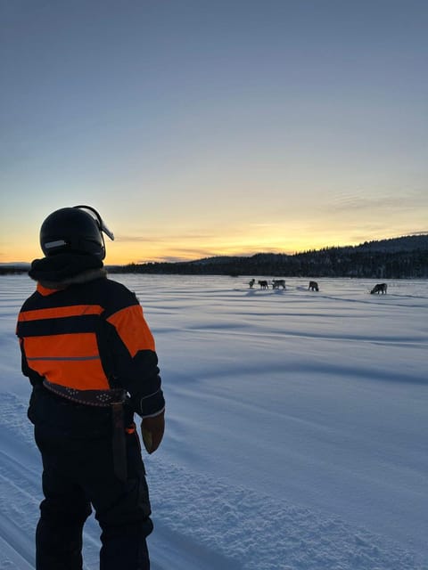 Saariselkä: Ice Fishing Tour to Lake Inari, reindeers& lunch - Island Visit to Meet Reindeer, Tina and Tapio, and Take Photos
