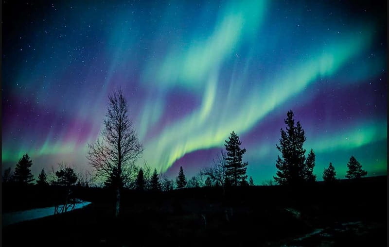 Saariselkä,Kakslauttanen: Aurora Hunting & Photography Tour. - Mercedes minibus comfort and small-group service