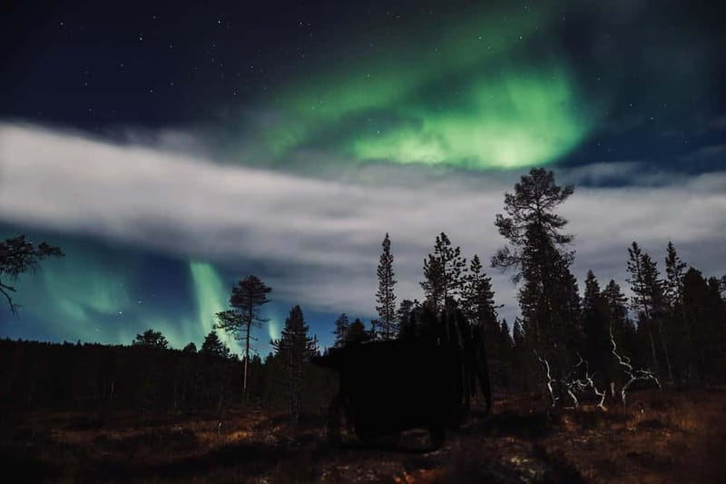 Saariselkä,Kakslauttanen: Aurora Hunting & Photography Tour. - Success rate depends on more than effort