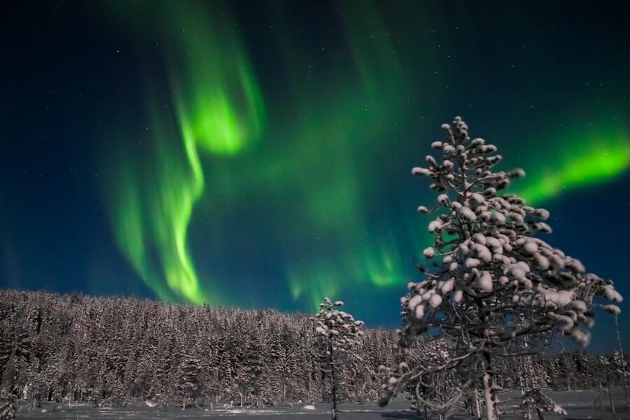 Saariselkä: Northern Lights Hunting Snowshoe Trip - Quick Highlights You’ll Feel During the 2.5 Hours