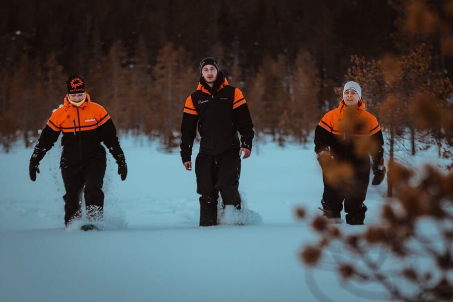Saariselkä: Northern Lights Hunting Snowshoe Trip - The Guide Factor: Why Teemo’s Tour Style Gets Praised