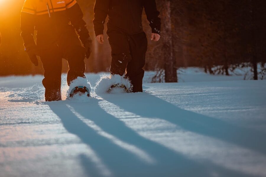 Saariselkä: Northern Lights Hunting Snowshoe Trip - What You’re Paying For at $111, and Why It Actually Adds Up