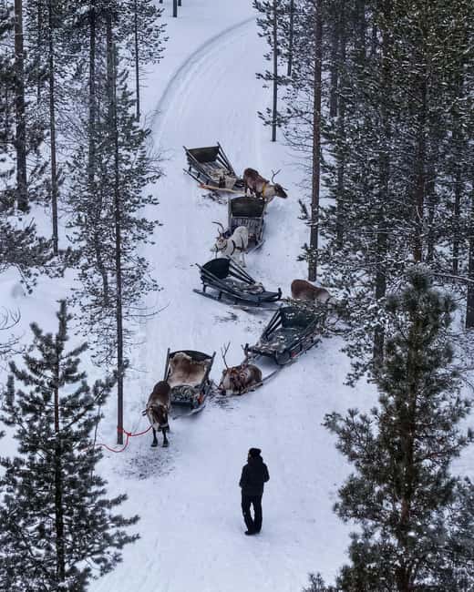 Saariselkä : Reindeer Sleigh Ride with Snacks & Hot Drink - Key things to know before you go