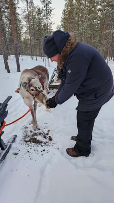 Saariselkä : Reindeer Sleigh Ride with Snacks & Hot Drink - Entering Saariselkä’s winter hush on a reindeer sleigh