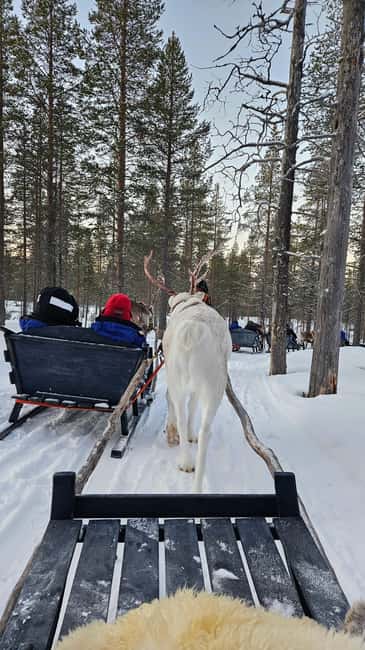 Saariselkä : Reindeer Sleigh Ride with Snacks & Hot Drink - Dress the cold properly, because the gear helps but you still need layers