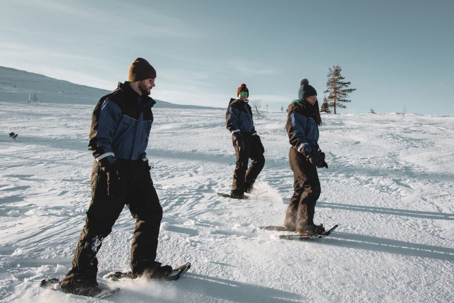 Saariselkä: Scenic Snowshoe Safari - Saariselkä snowshoeing built for daylight winter walking