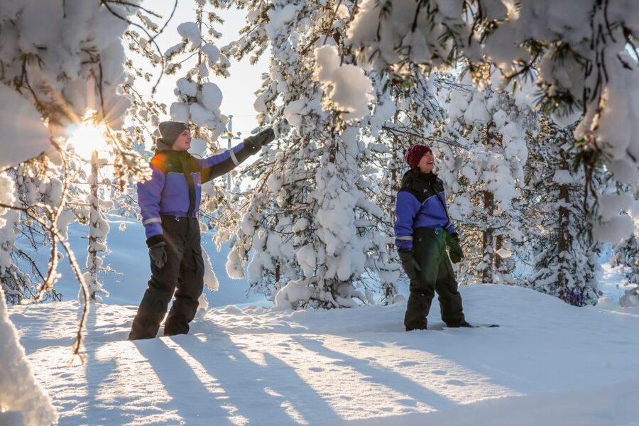 Saariselkä: Scenic Snowshoe Safari - Should you book Safartica’s Saariselkä Snowshoe Safari?