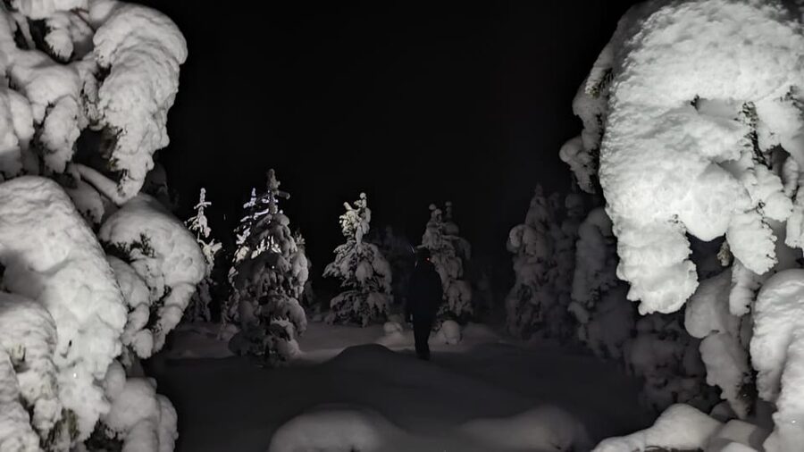 Saariselkä: Snowshoeing Tour in Urho Kekkonen National Park - Key things that make this snowshoe tour worth your time