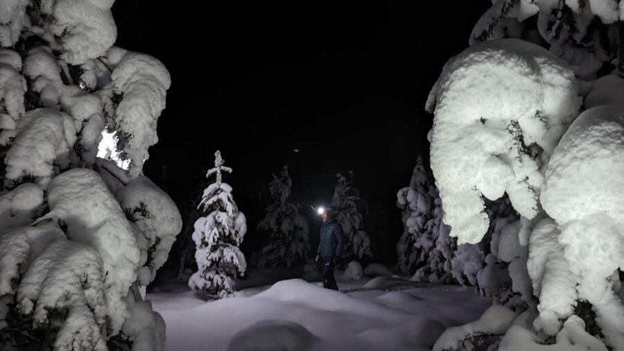 Saariselkä: Snowshoeing Tour in Urho Kekkonen National Park - Price and Value: Is $88 Fair for a Park Snowshoe Tour?