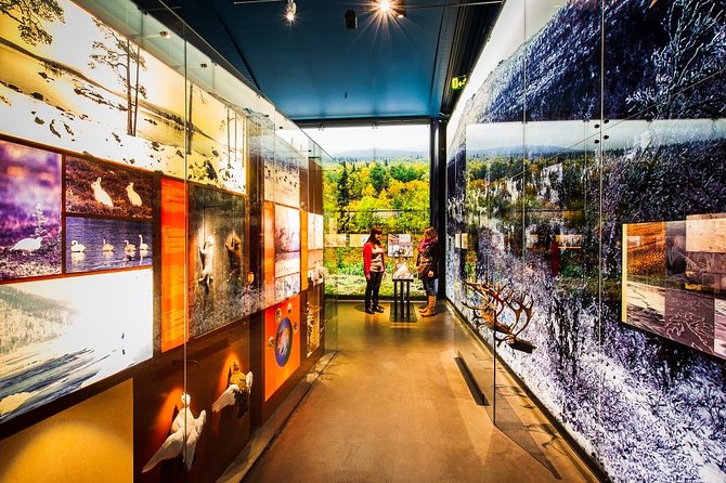 Sámi Village Inari and Siida Museum by Car - Key highlights you should care about