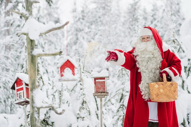 Santa Claus Combo: Visit Santa Claus Village and Santa Park in One Day - Santa Claus Village and SantaPark in one guided sweep