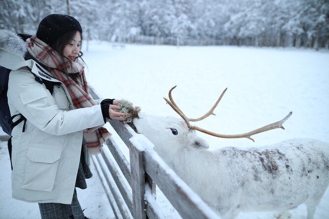 Santa Claus Village, Husky and Reindeers Combo Safari - Pickup and Morning Timing in Rovaniemi City Center