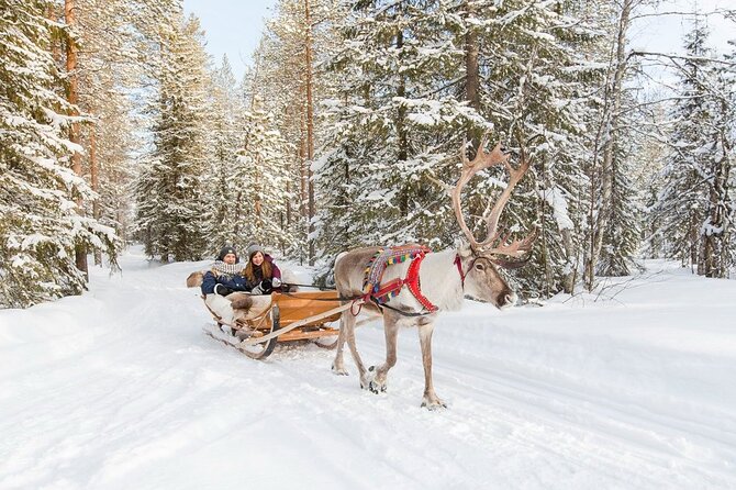 Santa's Reindeer & Husky Safari + Aurora BBQ in Rovaniemi - Price Value: What $289.04 Buys in One Big Day