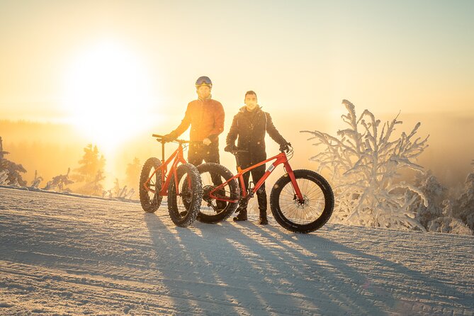 Scenic electric fat bike group ride in Rovaniemi - Key Things You’ll Notice on This Rovaniemi E-Fat Bike Ride