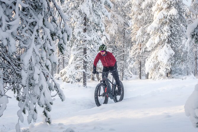 Scenic electric fat bike group ride in Rovaniemi - Ounasvaara Winter Trail: Where Your Riding Skills Get Real
