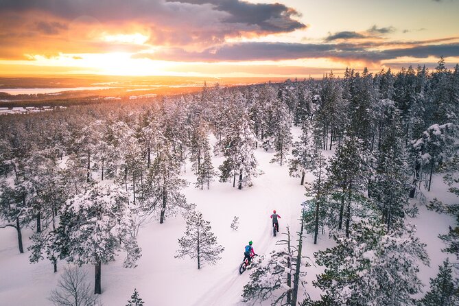 Scenic electric fat bike group ride in Rovaniemi - The Tottorakka Lift Station Summit Views, and the Slightly Steep Part