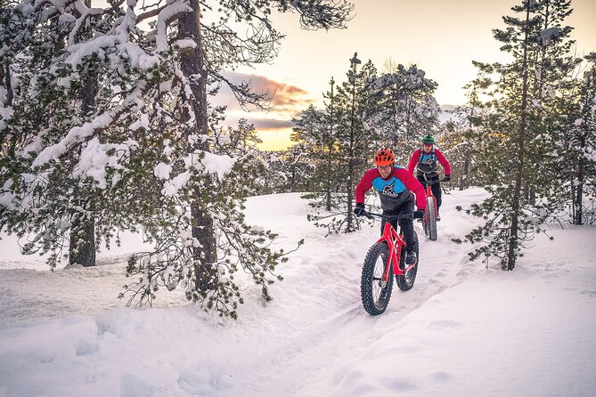 Scenic electric fat bike group ride in Rovaniemi - The Fun Part on the Way Back: Why Hills Feel Different in Snow