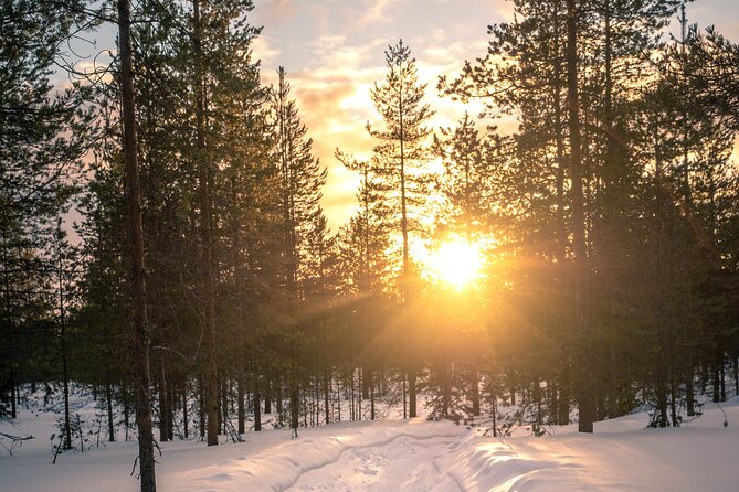 Scenic electric fat bike group ride in Rovaniemi - What to Wear and Bring So This Stays Comfortable