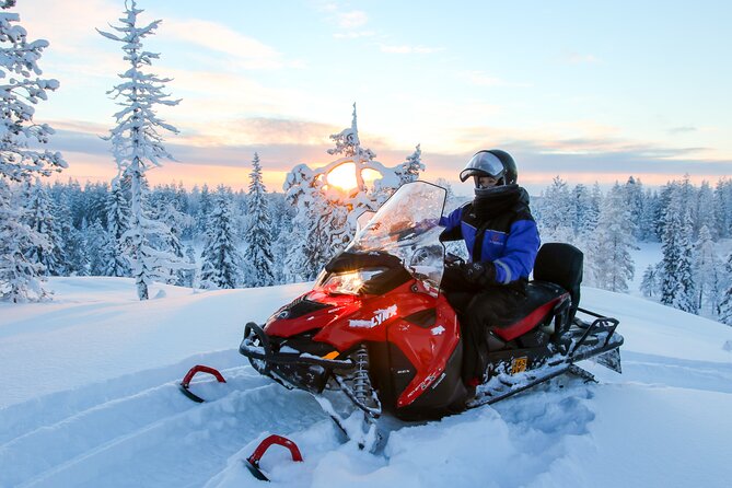 Scenic Snowmobile Safari in Saariselkä - Key highlights you will care about