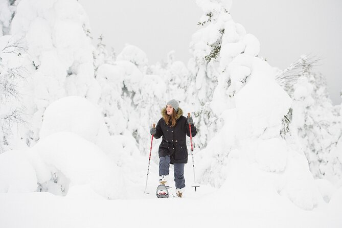 Scenic Snowshoeing on the Top of Pyhä Fell - Snowshoeing on Pyhä Fell: changing winter shapes and wide panoramas