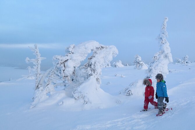 Scenic Snowshoeing on the Top of Pyhä Fell - Price and value: what $128.84 buys you in Finland