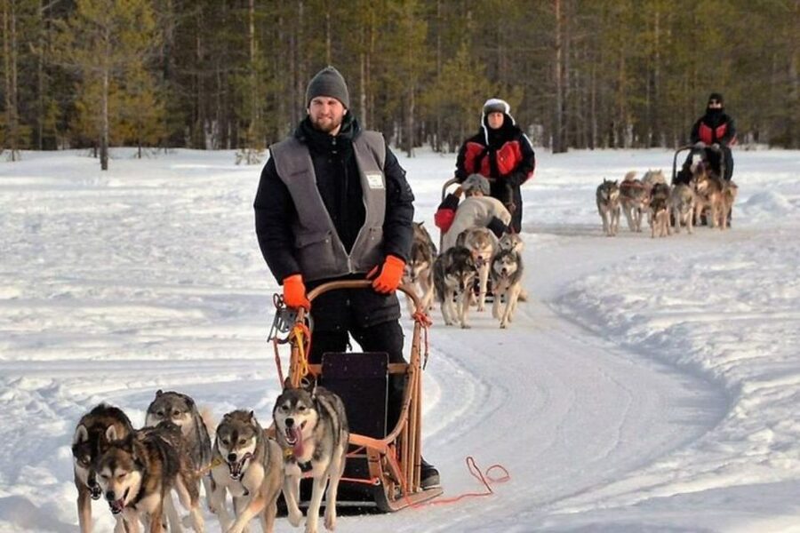 Sirkka: Husky Sled Ride in Levi 2km or 5 km from Levi - Price and value around $199 per person, is it worth it?