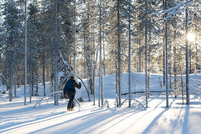 Ski Trek to the Wilderness - Extra Small group - A 5.5-hour Lapland ski trek that feels personal