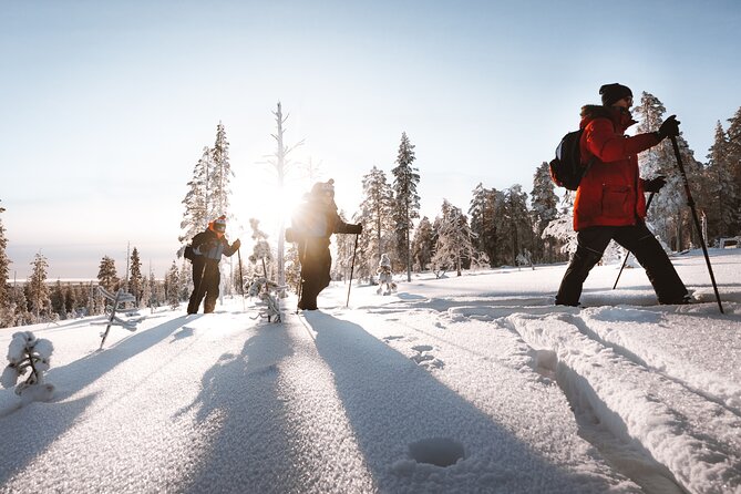 Ski Trekking Safari in Lapland - The 4-Hour Flow: Transport, Ski Coaching, and a Fire-Based Finish